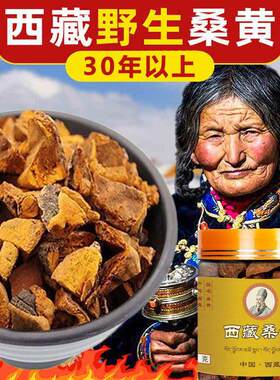 西藏野生桑黄30年正宗西