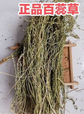 材 百蕊草1kg 百乳草 细须草 青龙草真货