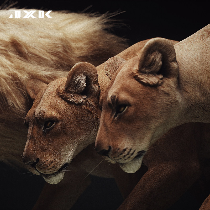 jxk 1/6 母狮仿真凶猛兽狮子动物模型雕像手办周边gk潮玩树脂摆件