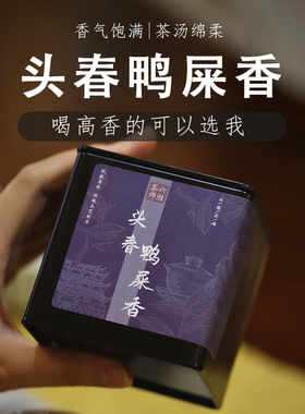 六胜茶师【头春鸭屎香】凤凰单枞潮州乌岽高山单丛试喝乌龙茶