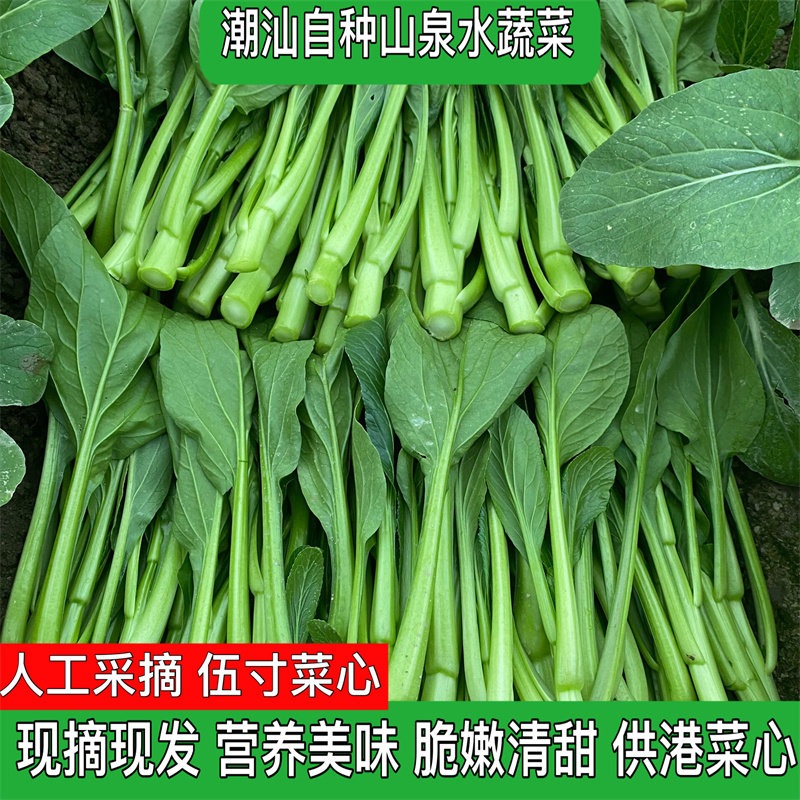 潮汕农家新鲜甜脆蔬菜四季青菜油菜心 油菜花 油青菜 油菜苔 包邮,水产肉类/新鲜蔬果/熟食,叶菜类,淘宝优惠券,粉丝福利购,淘宝优惠卷