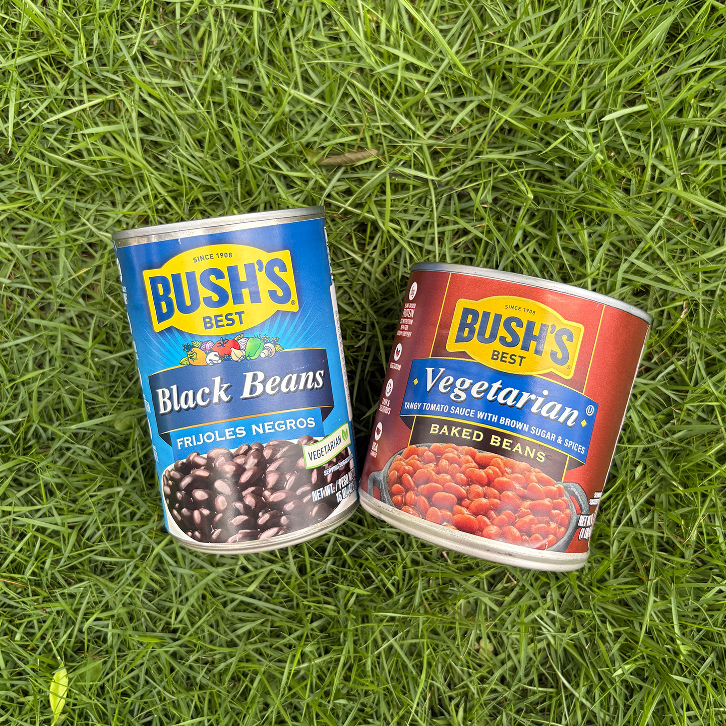 BUSH'S布什牌美国进口黑豆素食烘豆罐头豆类即食罐装Black beans