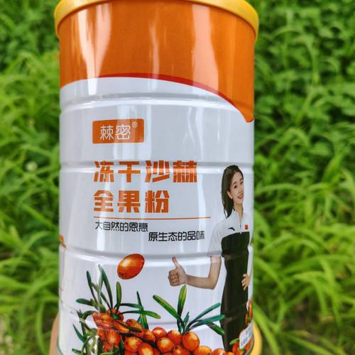 新疆特产冻干沙棘全果粉独立包装