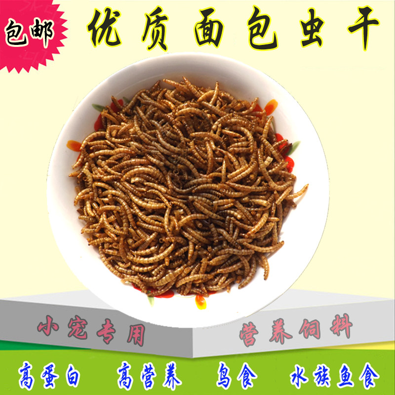 面包虫干宠物零食仓鼠粮黄粉虫干龙猫鱼粮龟粮鸟食高蛋白饲料100g