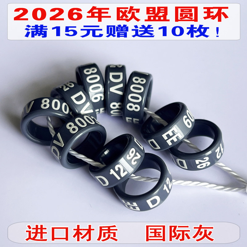 2026年欧盟圆环  美系摩登  观赏鸽 信鸽 2025年元宝圆环鸽