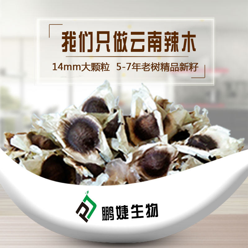 云南辣木子大粒辣木籽天然散装精选非印度辣木籽100g鹏婕包邮正宗