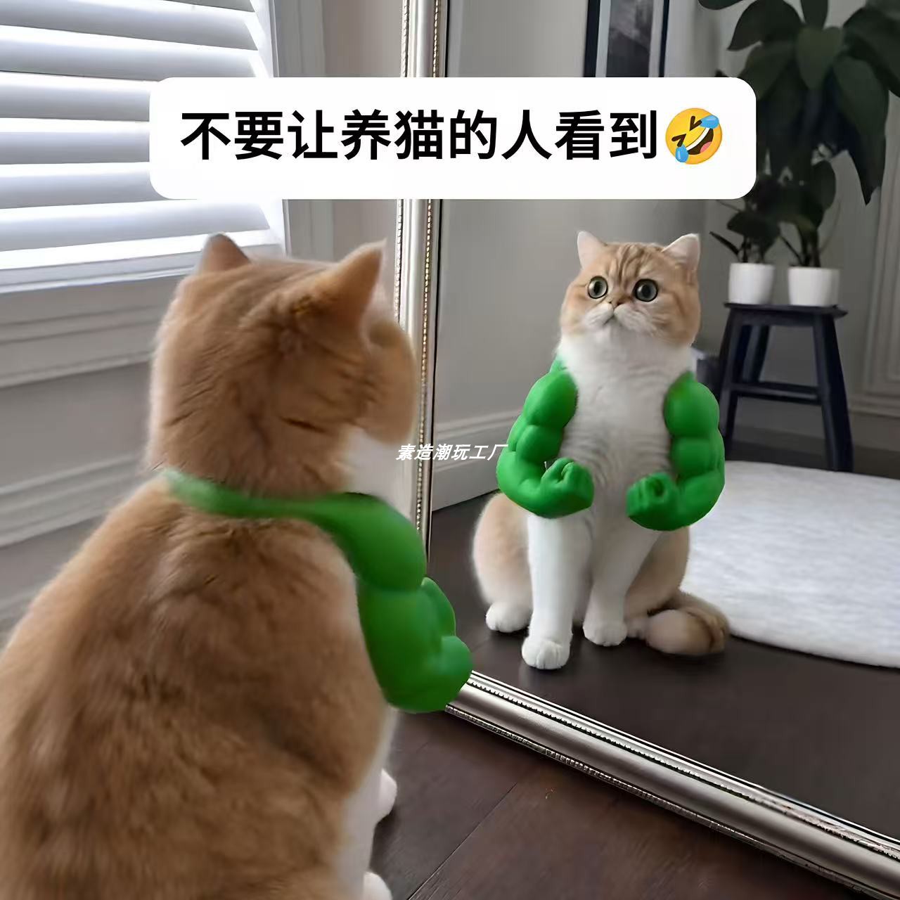 猫咪肌肉手臂绿巨人拳击挂脖拳头
