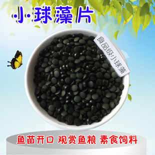 小球藻片鱼食饲料胡子大凡异型形鱼熊猫迷宫斑马鼠鱼苗开口素食粮