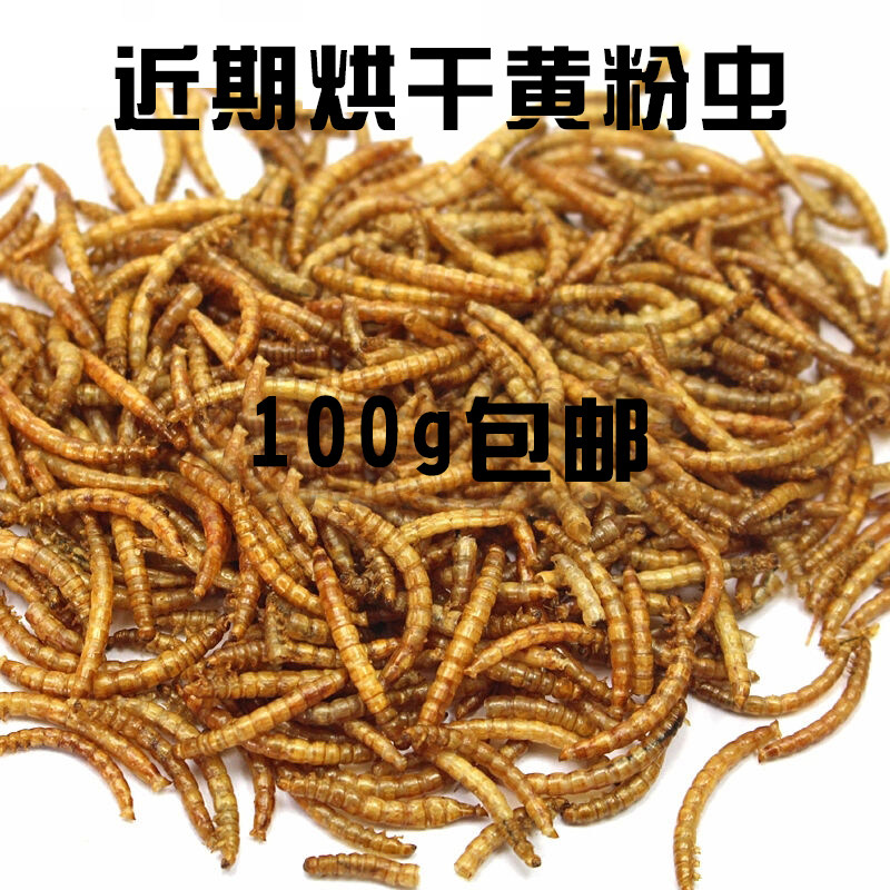 全国包邮 散装面包虫干黄粉虫干100克(新货)鸟粮添加仓鼠