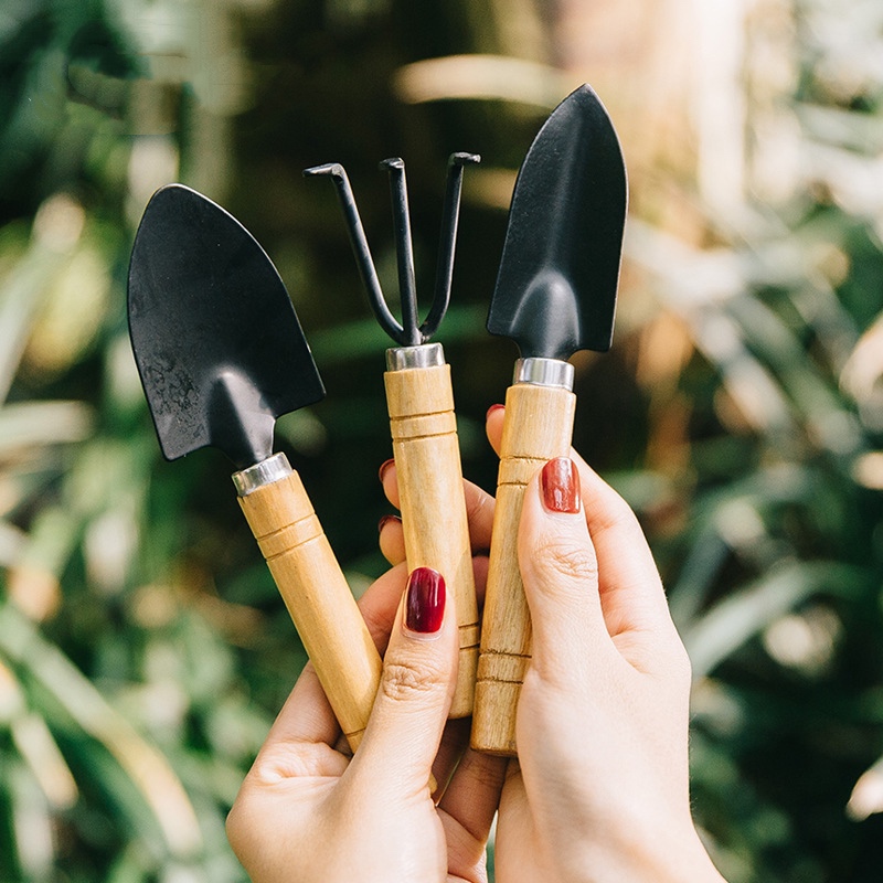 迷你三件套盆栽养花种植多肉铁铲