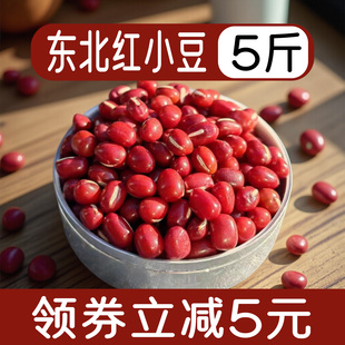 东北红豆农家自种东北红小豆新鲜货专用五谷杂粮熬粥做豆沙5斤