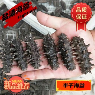 长海县散装半干海参深海拉缸盐底播辽参刺参7年大连盐渍500克