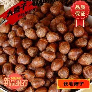 大果榛子东北榛子薄皮玉坠榛子年货坚果炒货零食批发袋装 净重500g