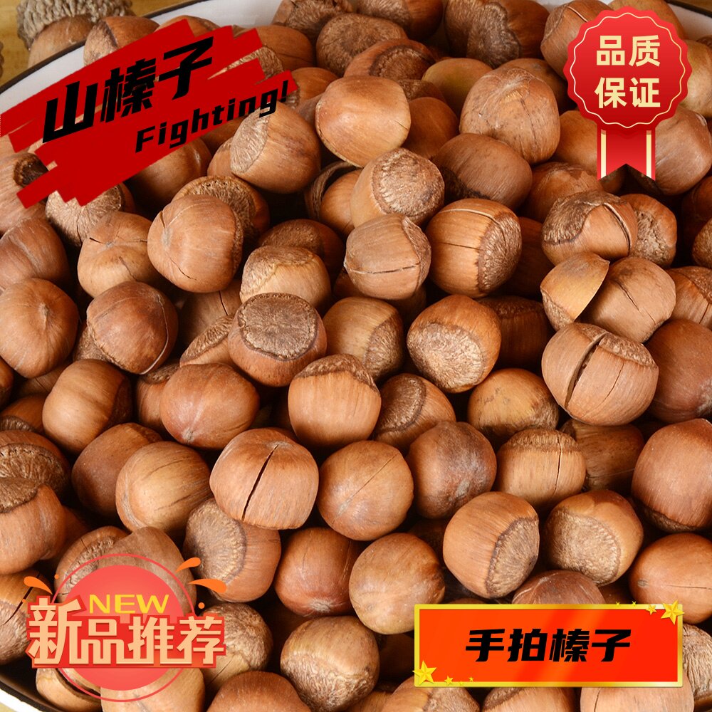 新货东北特产榛子铁岭小山榛子开口山臻子颗粒坚果手拍榛子开原