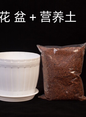 大小花盆营养土带土塑料白盆透明盆加仑盆向日葵多肉种球薄荷泥土