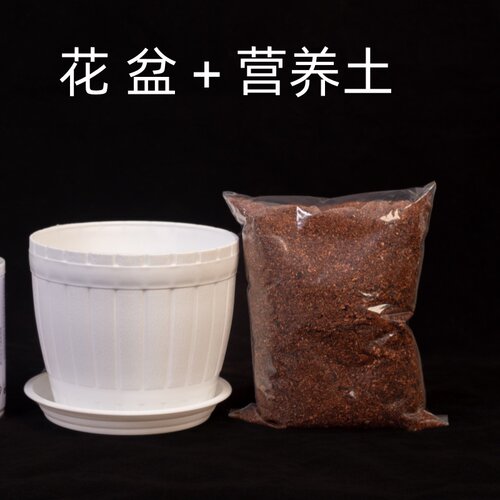 大小花盆营养土带土塑料白盆透明盆加仑盆向日葵多肉种球薄荷泥土