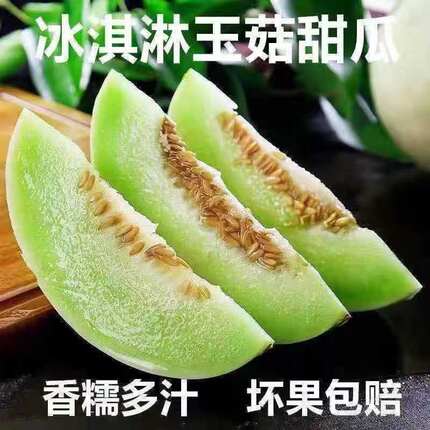 山东玉菇甜瓜新鲜现货批发一件代发包邮