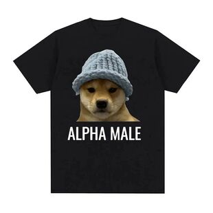 Alpha Male Tshirt欧美趣味戴帽子的狗图案大码短袖T恤男女上衣