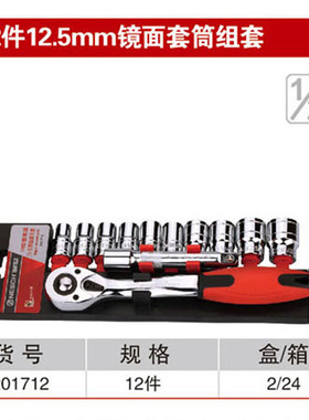 耐世套筒套装 12件12.5MM镜面红带棘轮套筒组合套装 201712