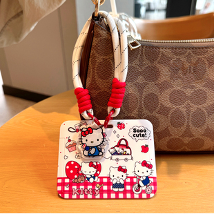 卡通猫横版卡套可爱少女心学生饭卡挂包包挂脖防丢公交地铁吊牌女