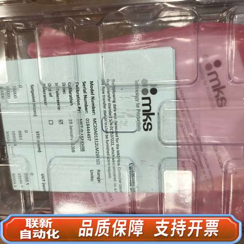 MKS MC20A01312LM26V10 100SLM N