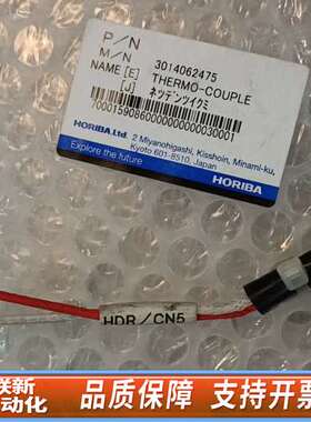 崛场热电偶3014062475，K10C（HDR/CN5）几