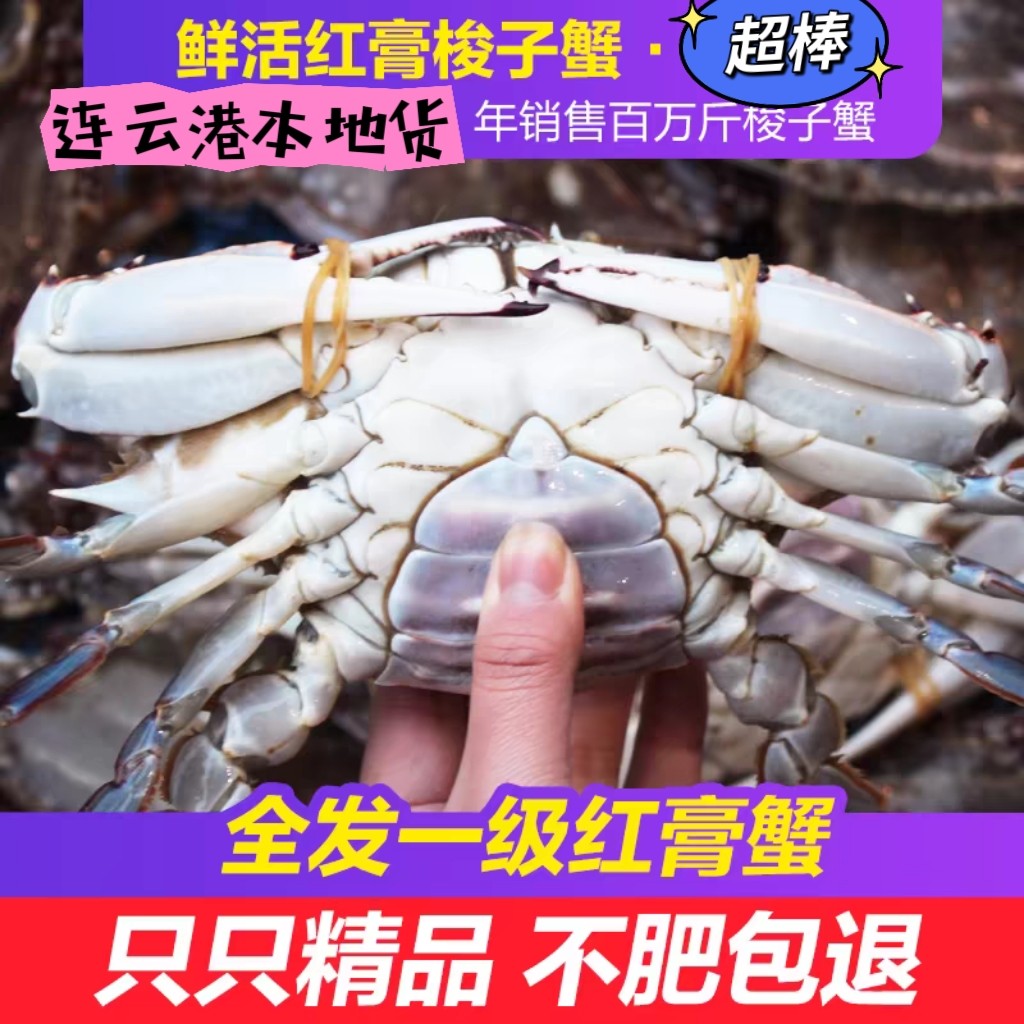 活梭子蟹鲜活大特大红膏母蟹新鲜梭子蟹
