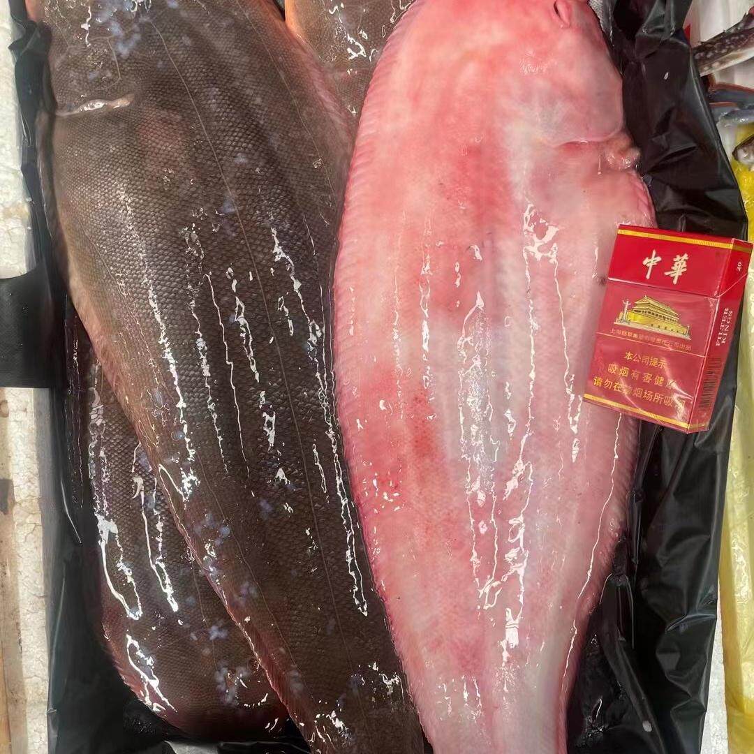 特大龙利鱼新鲜湾口鱼扁鱼少刺鲜嫩辅食鱼野生海捕龙舌鱼