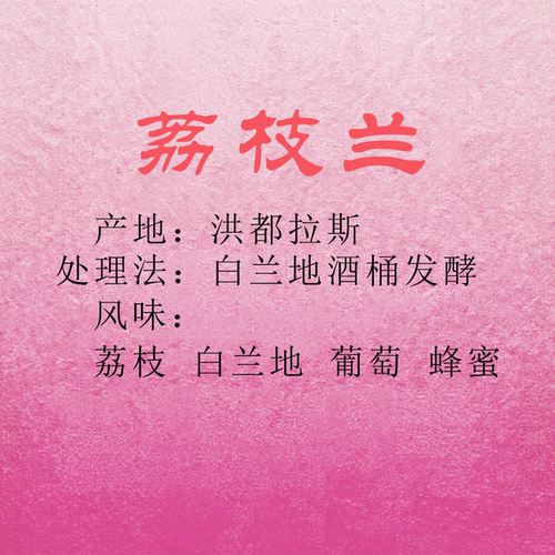 洪都拉斯 荔枝蜜咖啡豆 挂耳咖啡 手冲意式精品