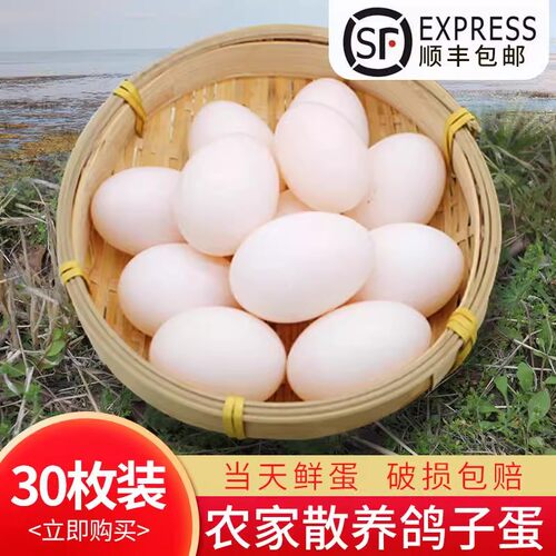 顺丰包邮正品散养30枚个装白鸽蛋