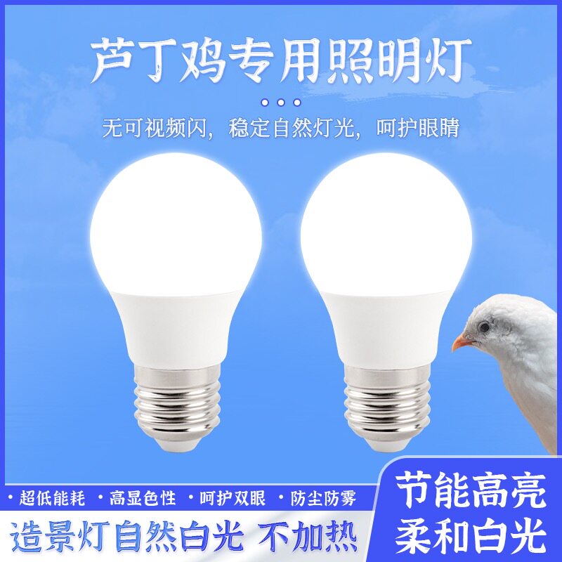 芦丁鸡仓鼠饲养箱专用照明灯小太垫料
