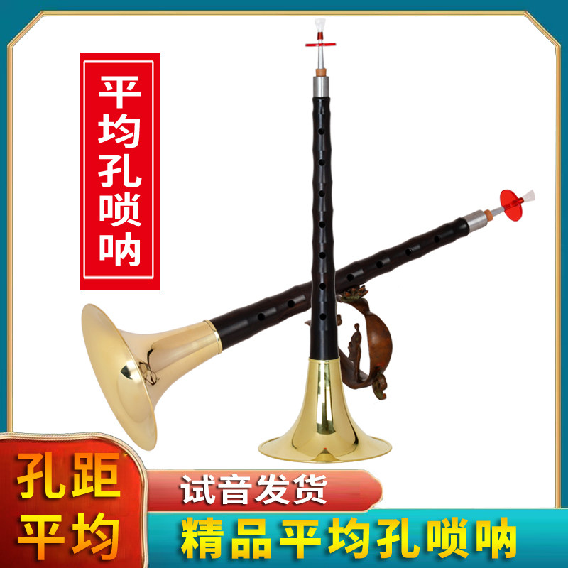 平均孔唢呐乐器全套初学者入门专业演奏D调乌木黑檀木喇叭民间