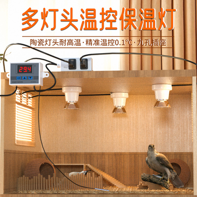 芦丁鸡保温灯智能控箱暖