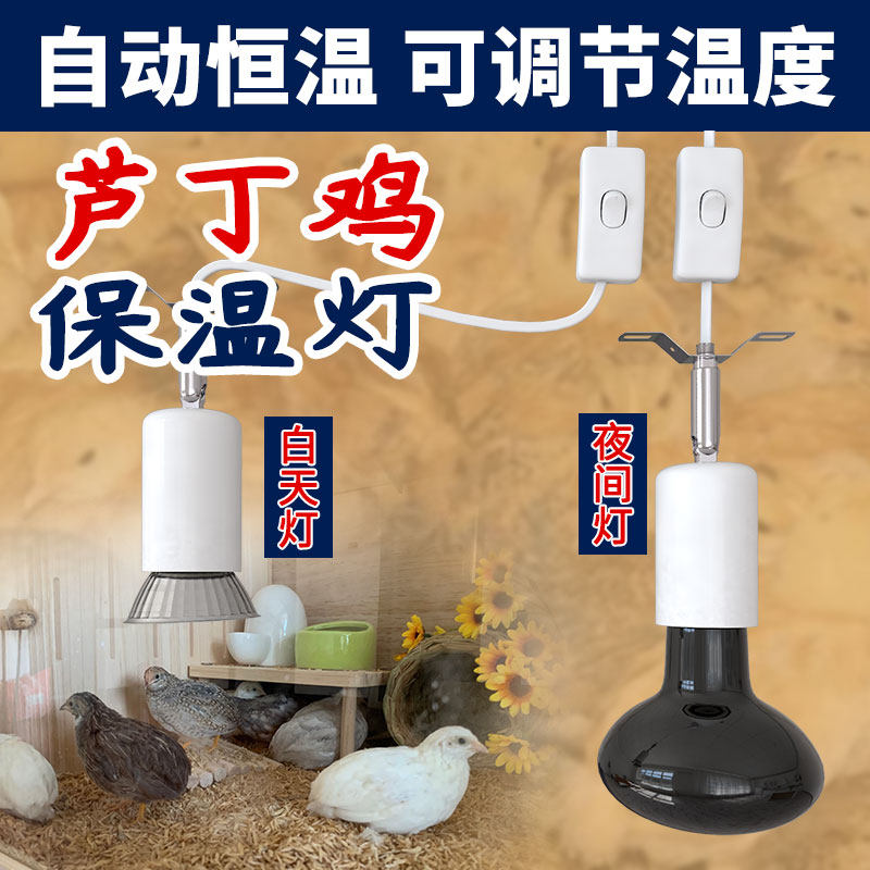 保温灯芦丁鸡取暖灯泡爬宠加热灯养殖场孵化育雏温控灯鹦鹉加温灯