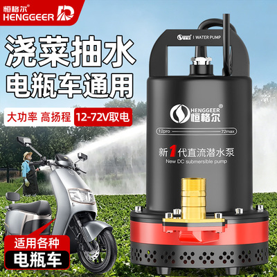 12V直流潜水泵24V48V60V72V电瓶车电动车通用浇菜农用灌溉抽水泵