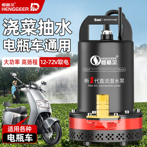 12V直流潜水泵24V48V60V72V电瓶车电动车通用浇菜农用灌溉抽水泵 - 封面