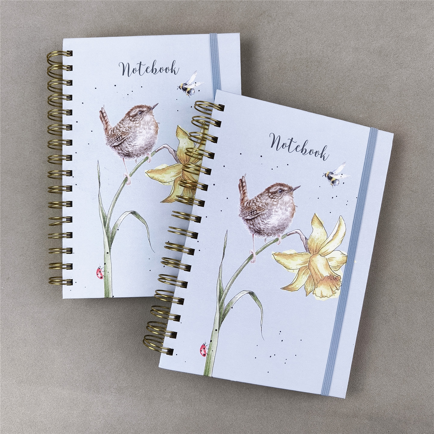 出英国A5硬壳小鸟绑带横线笔记本 微瑕 外贸本子