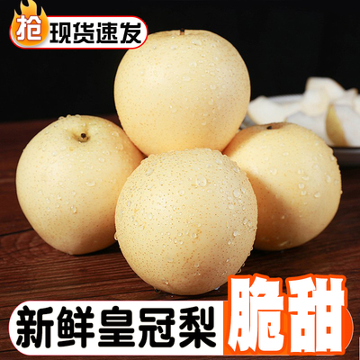 新鲜皇冠梨雪梨梨子新鲜水果整箱包邮现摘安徽皇冠梨河北雪梨