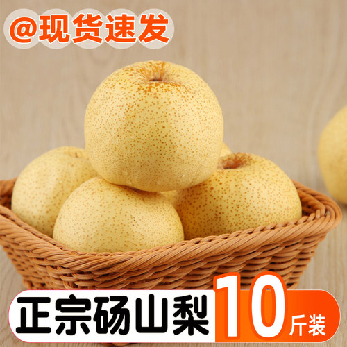 产地直发丨砀山酥梨丨脆甜多汁