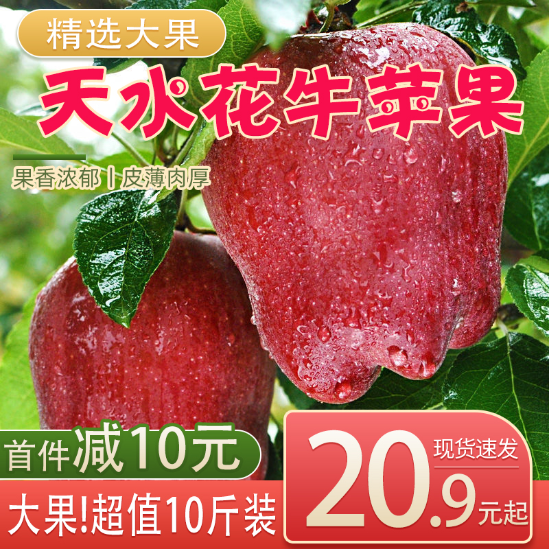 甘肃天水花牛苹果10斤新鲜当季红蛇果整箱大果粉面苹果5平果包邮在类目 水产肉类/新鲜蔬果/熟食, 新鲜水果, 苹果中 - 来自Buy2taobao.com提供专业的淘宝代购服务