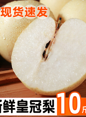 新鲜皇冠梨10斤雪梨梨子新鲜水果整箱包邮现摘安徽皇冠梨雪梨