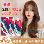 网红染发膏植物彩色覆盖白发潮色美发理发店专用染色剂遮白色头发