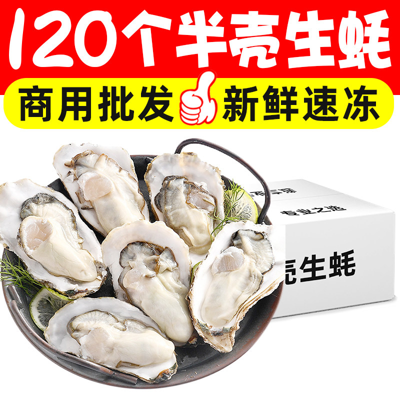 120个冻半壳生蚝烧烤食材海鲜大咖半壳牡蛎日料酒店配菜商用