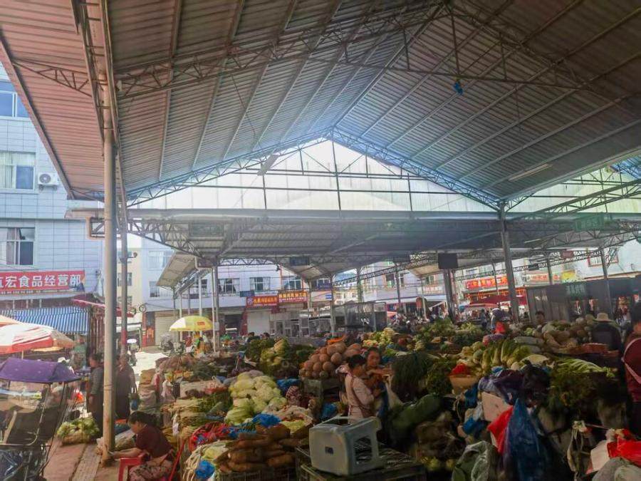 1月1日文山一宗国有土地使用权及宗地上附属物网络拍卖公告