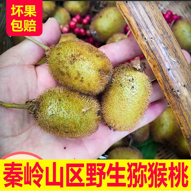 现货秦岭山区纯野生猕猴桃孕妇水奇异果/猕猴桃