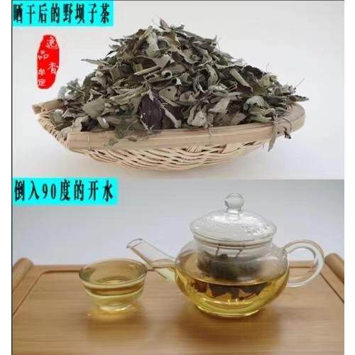野坝子茶云南特产野坝蒿餐用茶散装绿茶特价包邮清香型直销全是叶