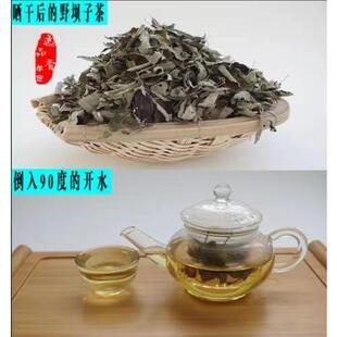 野坝子茶云南特产野坝蒿餐用茶散装绿茶特价包邮清香型直销全是叶