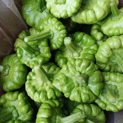南瓜 云南特产新鲜蔬菜小瓜姜柄瓜面瓜小绿嫩瓜全国包邮