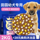 中华田园犬幼犬狗粮 家狗小土狗犬粮冻干通用型 串串狗粮幼犬粮