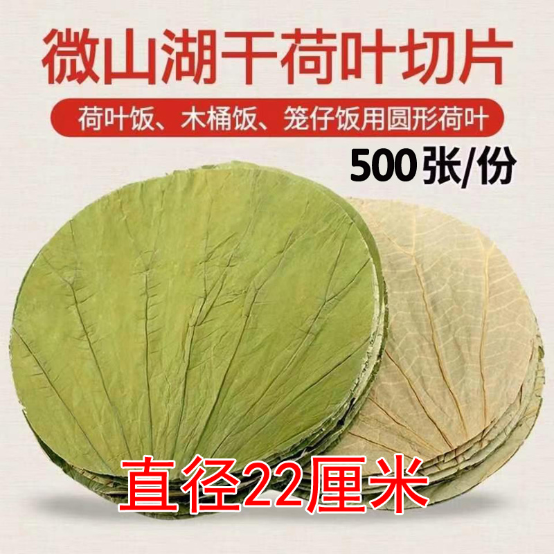 圆形荷叶新货天然圆形干荷叶